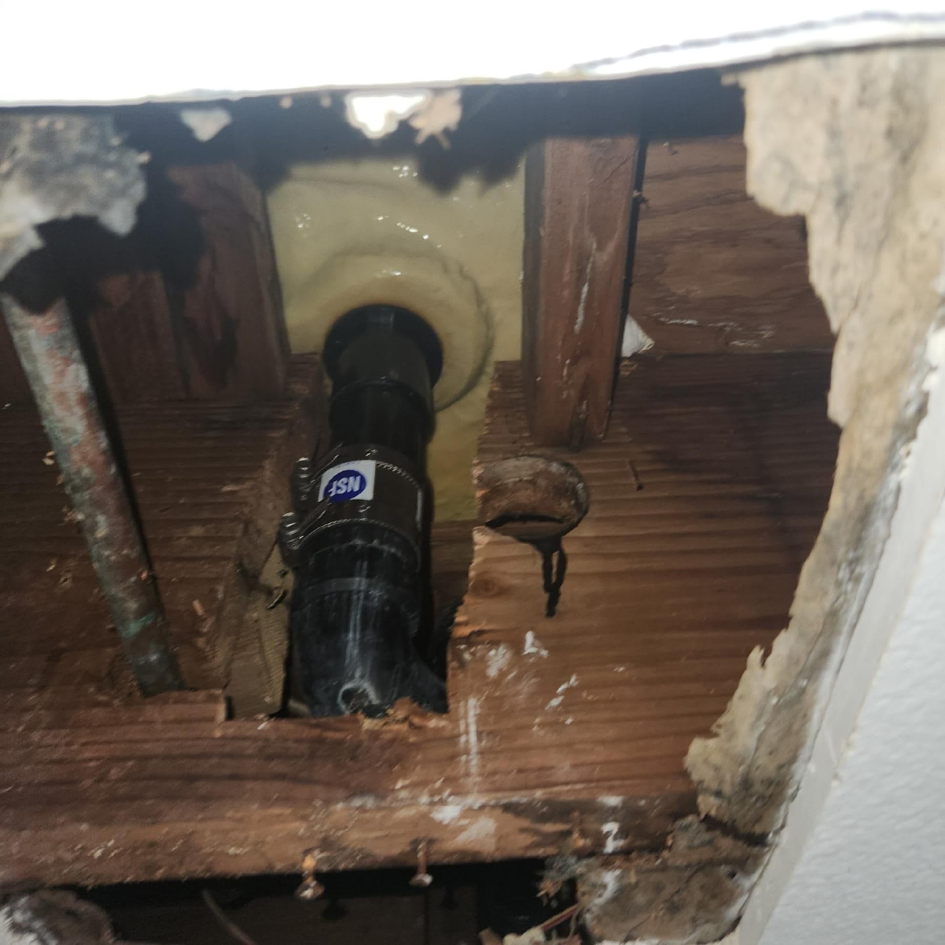Project Tub Drain Leak Repair in Newport Beach image